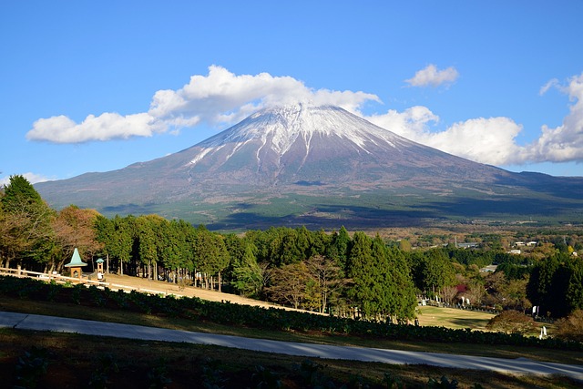 Recommended sightseeing spots in Shizuoka(11 spots)