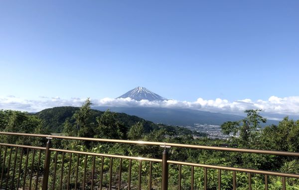 Summary：How to go Shizuoka? Recommended method of transportation is Shinkansen(Bullet Train)