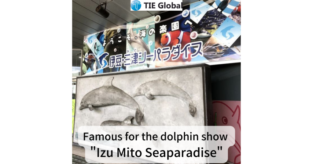 Summary：Aquarium of sea creatures famous for the dolphin show "Izu Mito Seaparadise"@Numazu City, Shizuoka