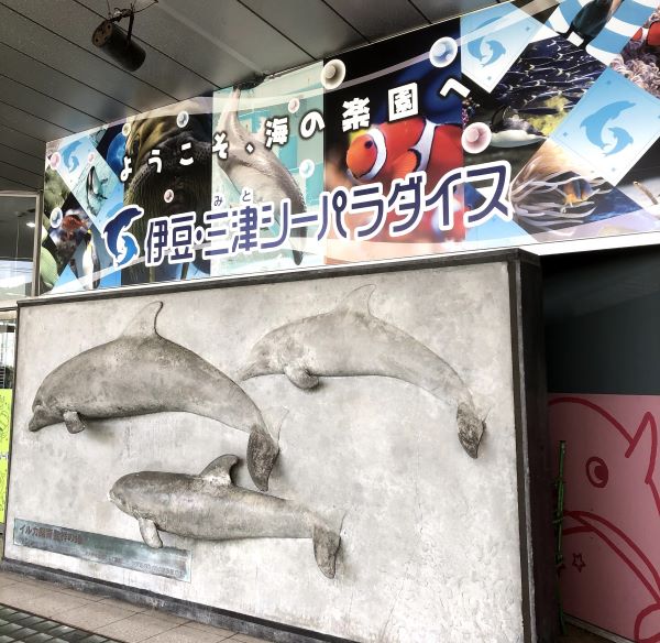 Aquarium of sea creatures famous for the dolphin show "Izu Mito Seaparadise"@Numazu City, Shizuoka