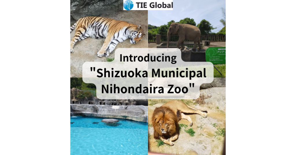 Summary：Introducing "Shizuoka Municipal Nihondaira Zoo"@Suruga Ward, Shizuoka